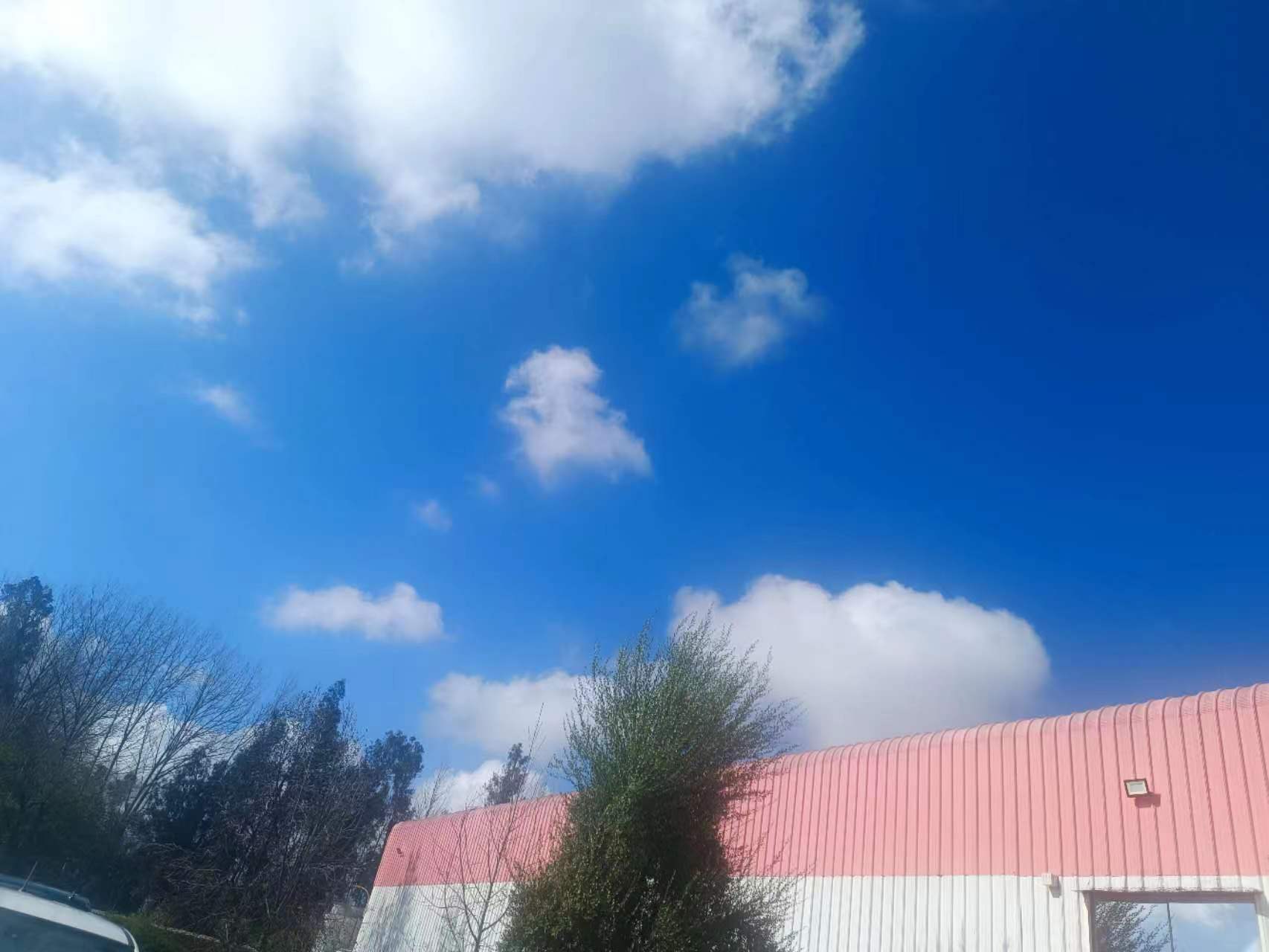 Steel Barn Steel Barn (3)