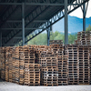 2024 Hurricane Resistant Prefab Steel Structure Structure Building Metal Structure Steel Framing Plant