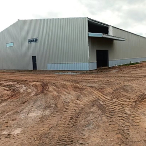 2025 Construction Update Making Great Progress Steel Building Project Doors Windows Installed Wall Sheeting Nearing Completion
