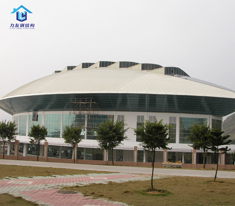 Prefab Construction Building Dome Design Steel Frame Structure Building Gymnasium Sport Hall Prefab Houses