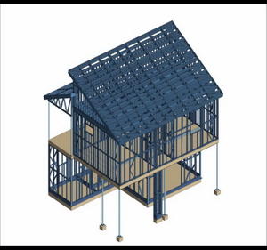 Customized Steel Frame House