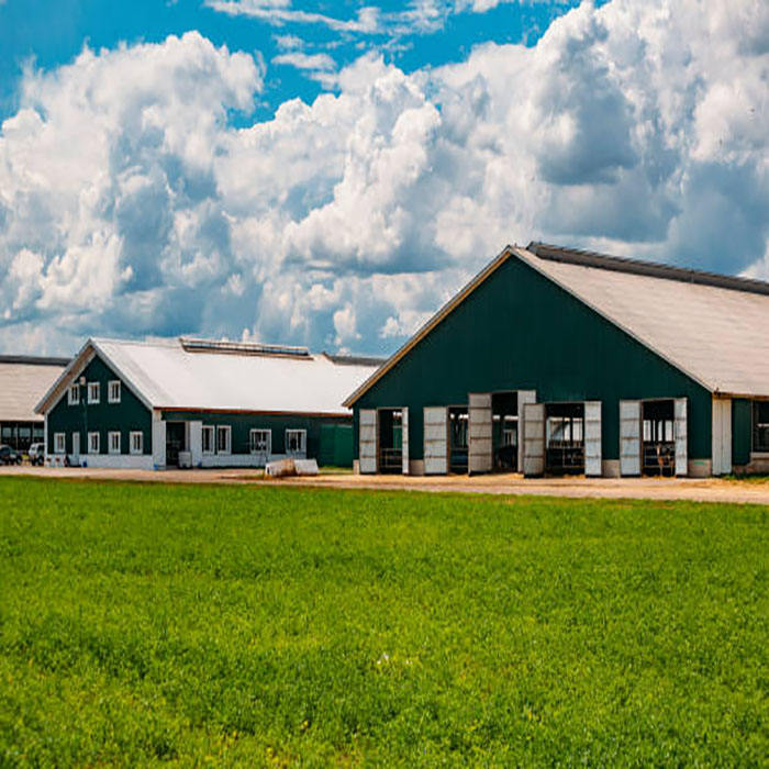 2024 Pre-engineered Steel Frame Building Garage Storage Shed Metal Industrial Building Warehouse Shed Agricultural Barn