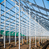 2024 Robust Construction Adaptable Building Prefabricated Steel Frame Breeding/Planting/Poultry Factory