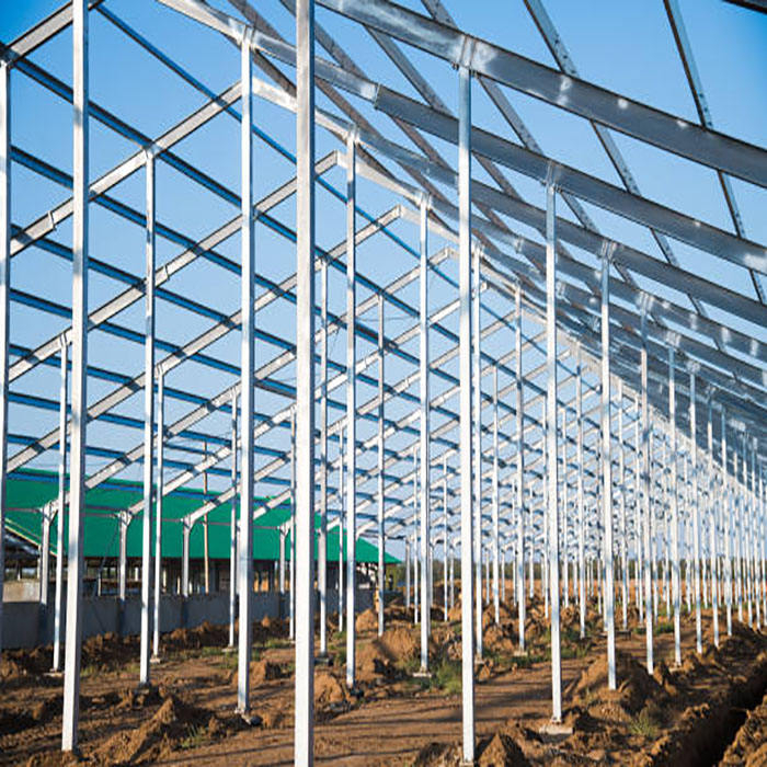 2024 Robust Construction Adaptable Building Prefabricated Steel Frame Breeding/Planting/Poultry Factory