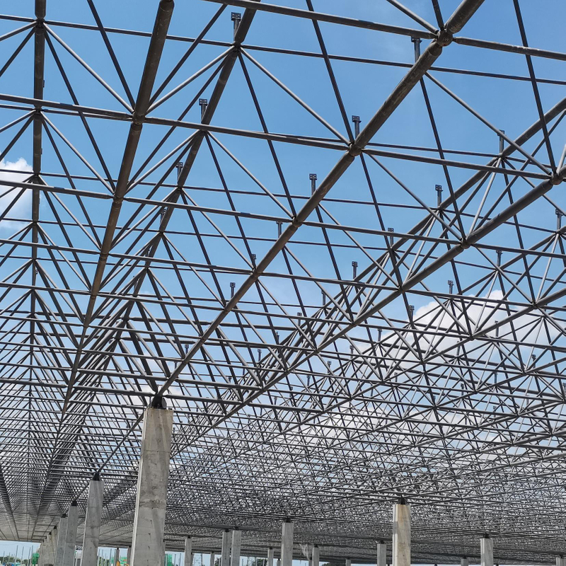 China Factory Origin Price Large Span Metal Warehouse Structural Grid Roof