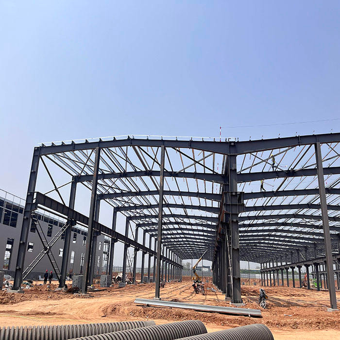 2024 New Product Hot Sell Steel Framing Warehouse With Doors Windows Rolling Shutters