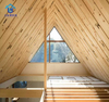 Hot Selling A-Frame Triangle Prefab House Resort Holiday Beautiful Wooden/Steel House