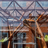 2025 Making Parametric Play to Create the Most Beautiful Bespoke Weathered Steel Trees That Meet All Structural Requirements