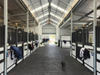 2025 Indoor Dressage Arena Measures 60mx21m American Barn-style Stables Measure 24mx12m Buildings Are Equipped with Skylights