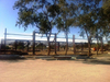 2025 3D Drawings 100x200 Steel Building A Wide-span Frame Equestrian Arena Provides Maximum Interior Space Protect From Elements
