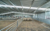 2025 for This Agricultural Shed Project, Commander Contacted Us to Design Fabricate and Install This Shearing Shed Yard Cover