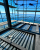 2025 Steel Structure Office Building Steelstructure Steel Hotel Aragosta Durres Design