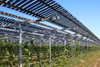 Steel Structure Metal Carports with Solar Sheds