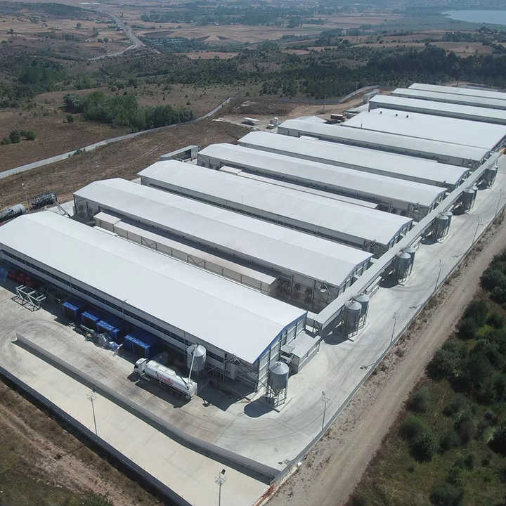 2025 Egg Factory Steel Manufacturing Assembly Egg Production Facility Power Plant Project Area 4,800 M2 Steel Used 1,900 Tons