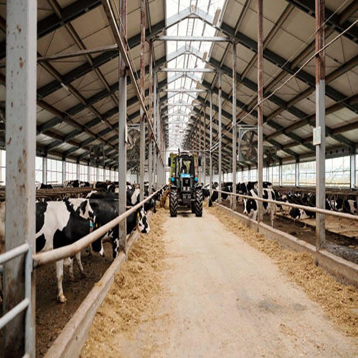 2024 Thermal Insulation Prefab Animal Shed Steel Structure Sheep/Cattle/Pig/Cow Shed Chicken Farming House