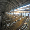 2024 Farming Shed Breeding Factory Prefabricated Building Material Steel Framing Goat House Sheep House
