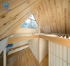 Resort Holiday Wooden Structure a Frame House Triangle Shape Wood/Steel House
