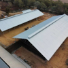 2025 Dairy Barn Structure 103m X 42m X 6m Roof-only Dairy Building with a Roof Vent to Ensure a Comfortable Environment Inside