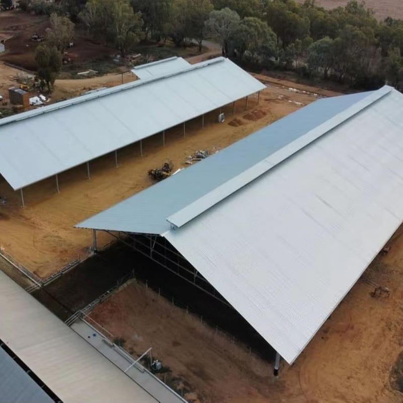 2025 Dairy Barn Structure 103m X 42m X 6m Roof-only Dairy Building with a Roof Vent to Ensure a Comfortable Environment Inside