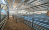 2025 This Multipurpose Shearing Shed Yard Cover Farm Shed Accommodate Five Stands Space Yards System Additional Storage Space
