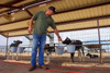 2025 Locally Crafted Steel Buildings From Our Family Owned Business Manufacturing Facility To Farms Just Like AZ Dairy Co