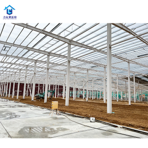 Steel Structure Factory For Sale