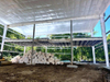 2025 Breaking Ground the New HQ for Steel Buildings Ready to Lay the Foundation for Innovation Strength and Excellence