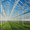 Safety Durable Good Quality Light Steel Structure Roof Shed for Agricultural Poultry Shed Steel Structure Greenhouse