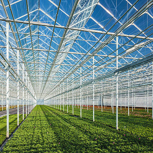 Safety Durable Good Quality Light Steel Structure Roof Shed for Agricultural Poultry Shed Steel Structure Greenhouse