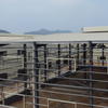 China Prefabricated Steel Structure Frame Industrial Workshop Factory Building Prefab Metal Warehouse Storage with Ridge Vent