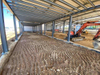 2025 Warehouse Storehouse Depot Depository Depositary Wareroom Construction Metalstructure Engineering Quality Steel Building