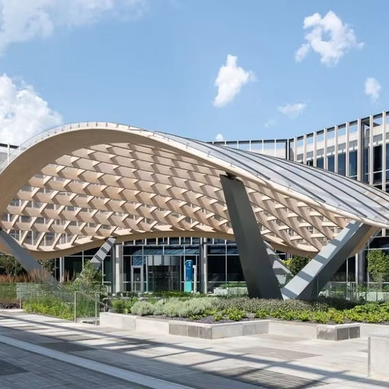 2025 Timber Glass and Steel This Canopy Standing Here Without a Significant Dose of Creativity Partnership Technical Ingenuity