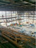 2025 Great Canadian Casino Resort Expansion Feature 5,000-seat Theatre 3,300 Tons Structural Steel 177,500 Sq. Ft. Metal Decking