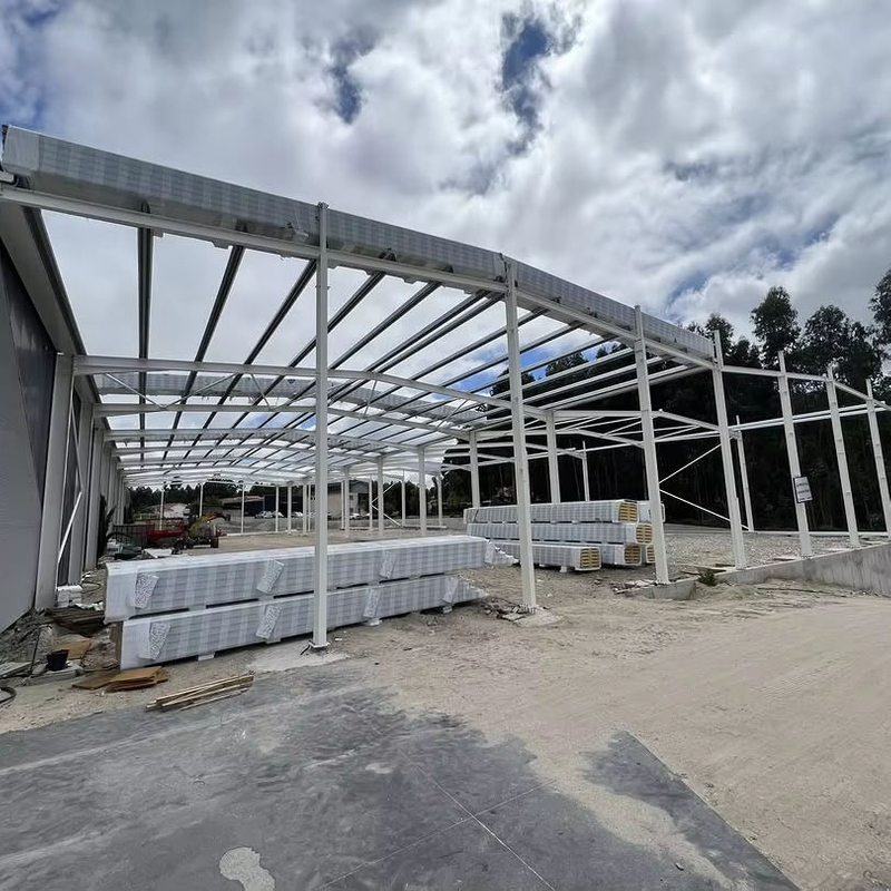 2025 Warehouse Construction Works Metal Structure Engineering Martinscruzecruz Quality Steelstructure Facades Coatings