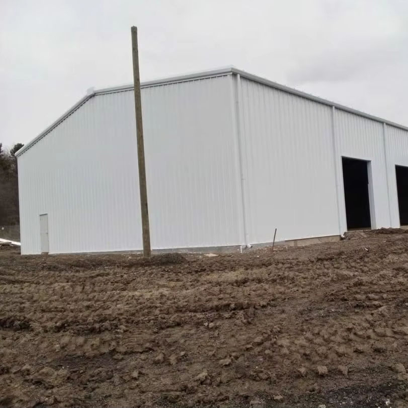 2025 Warehouse Storage Expansion Construction Recent Steel Building Project From the Sleek Design to the Durable Steel Frame