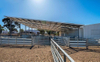 2025 This Multipurpose Shearing Shed Yard Cover Farm Shed Accommodate Five Stands Space Yards System Additional Storage Space