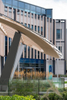 2025 Timber Glass and Steel This Canopy Standing Here Without a Significant Dose of Creativity Partnership Technical Ingenuity