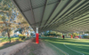 2025 Limited Site Access Around for the New Ball Court Cover the Presence of Large Trees Surrounding Three Sides of the Court