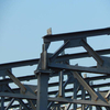 2024 Steel Platform Multi-Level Steel Mezzanine Wide Span Steel Structure Workshop Fabrication