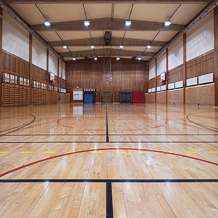 2024 Metal Frame Sports Hall Gymnasium Design Steel Structure Basketball Court Indoor Stadiums Construction Low Cost