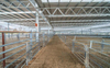 2025 the Design Steelwork Package of This Industrial Building Column-free Zones in the Saleyards Cover Meeting Clearance Height