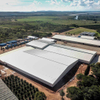 2025 Responsible for the Supply and Installation Structural Steel and Cladding of This New 25000m² Pack House Workshop Factory