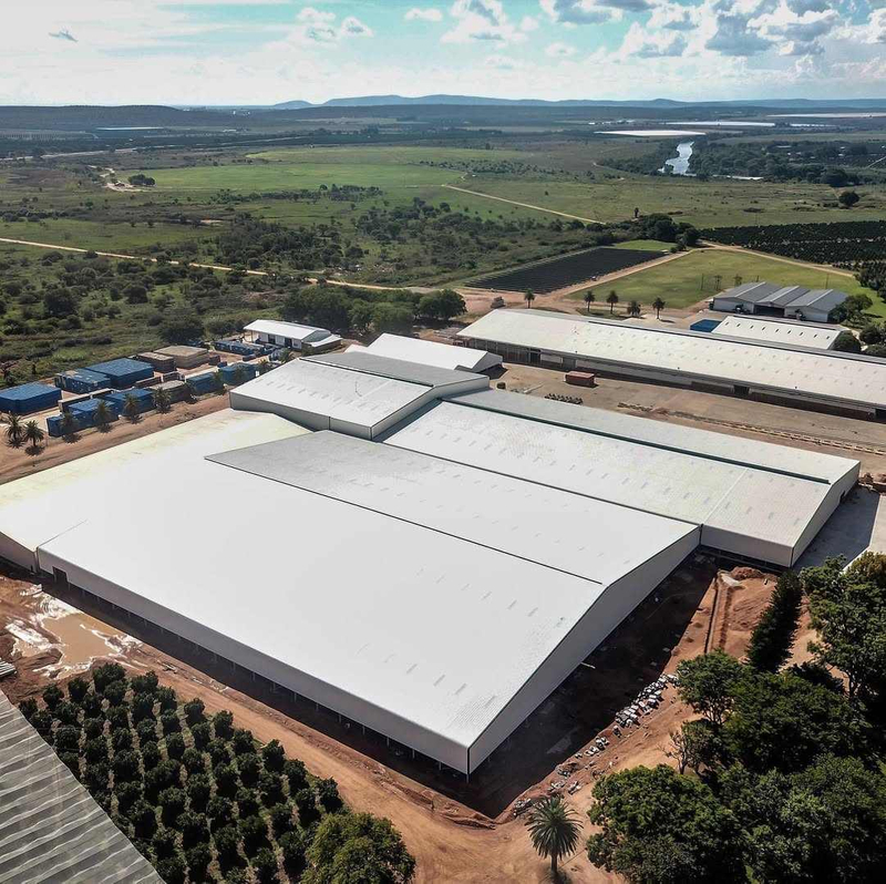 2025 Responsible for the Supply and Installation Structural Steel and Cladding of This New 25000m² Pack House Workshop Factory
