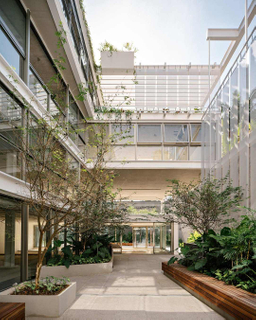 2025 This Is A Corporate Project That Seeks To Focus On Workspaces On Relaxation Dynamics And Social Interactions