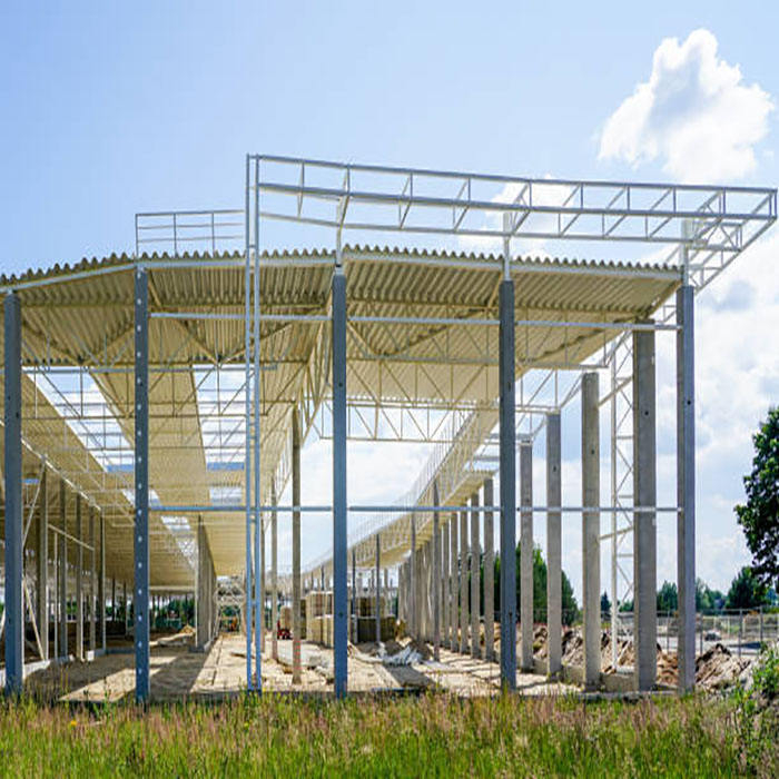 2024 Customized or Example Drawings As You Like Metal Structure Production Workshop Storage Warehouse