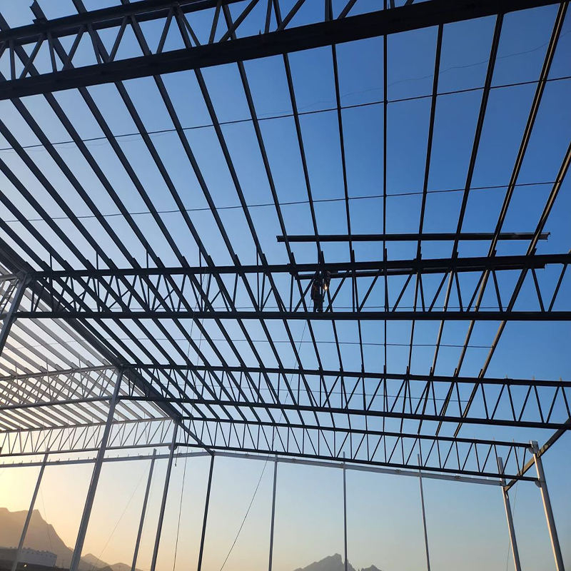 2024 Windproof Strong Material and Design Steel Structure Shed