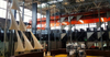 2025 the Glass Hall Leaves an Impression Round Steel Hollow Sections and a Steel Spaceframe Roof Form the Main Construction