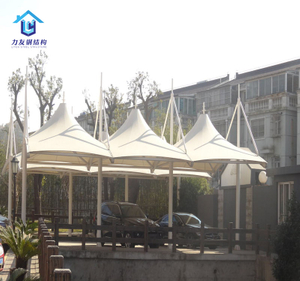 Car Port Canopy for Car Parking Shed
