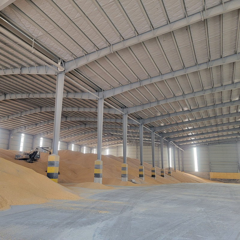 Steel Structure Warehouse Building