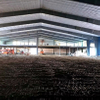 2025 Pickleball Court Update the Installation of the Liner Panel Is Well Underway and Approaching Completion